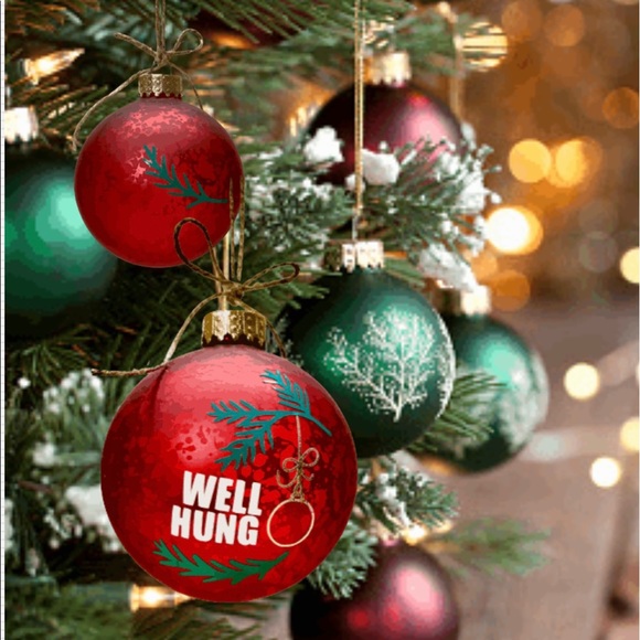 WELL HUNG- HANDMADE CHRISTMAS GLASS RED ORNAMENT - Picture 15 of 16